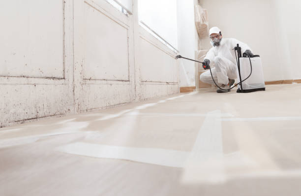 24/7 Emergency Basement Mold Remediation experts in Nicktown, PA